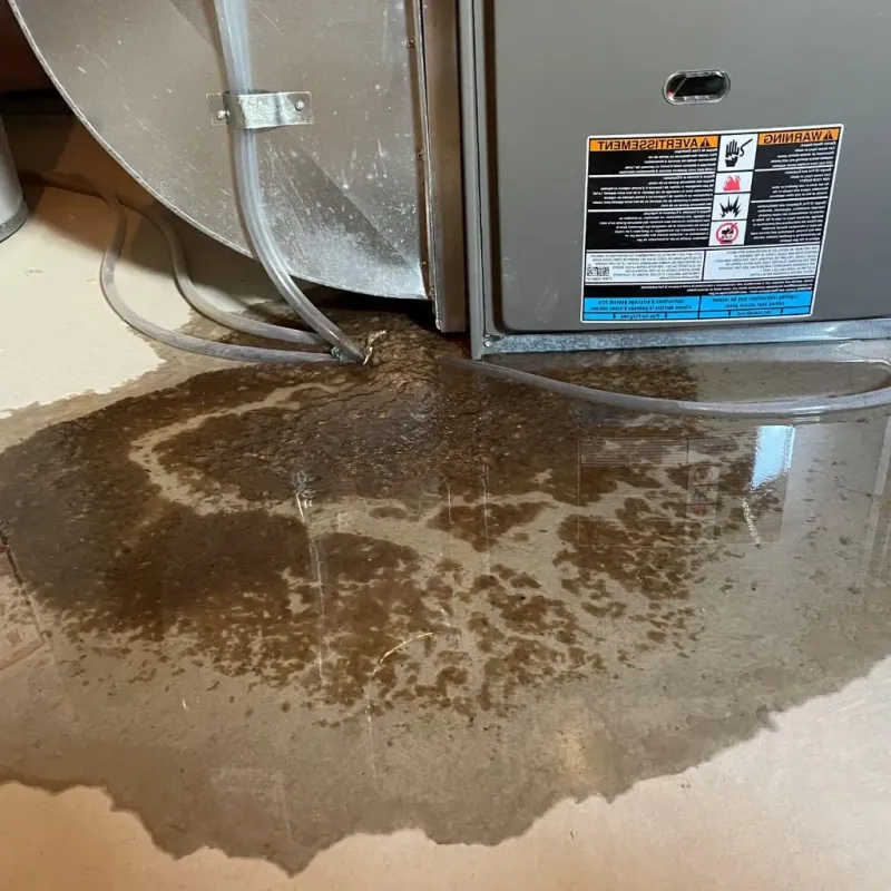 Pipe Burst and Leak Restoration in Sutton-Alpine, AK