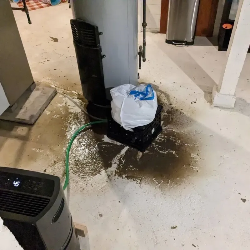 Sewage Backup Cleanup Service in Sutton-Alpine, AK